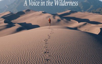 Voice in the Wilderness